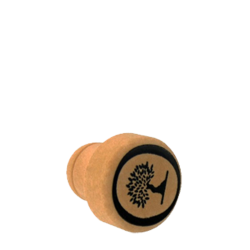 Plastic bottle pourer