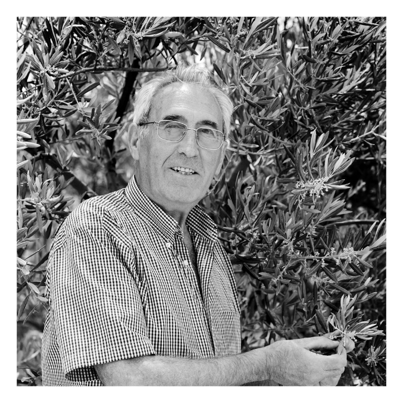 La Classique Huile d'Olive...