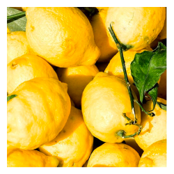 Fresh squeezed olive & lemon