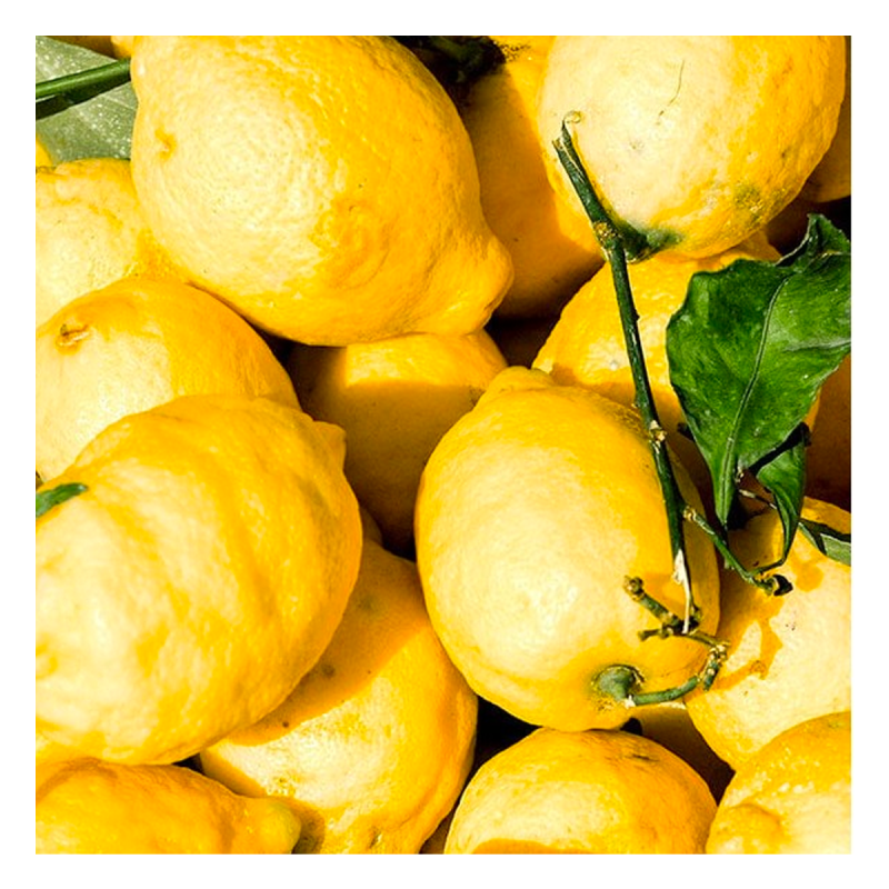 Olive & Citron frais pressés