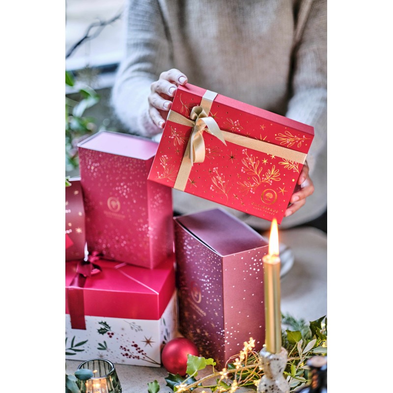 Der Unwiderstehliche