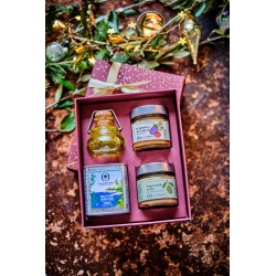 Apéro sous l'olivier